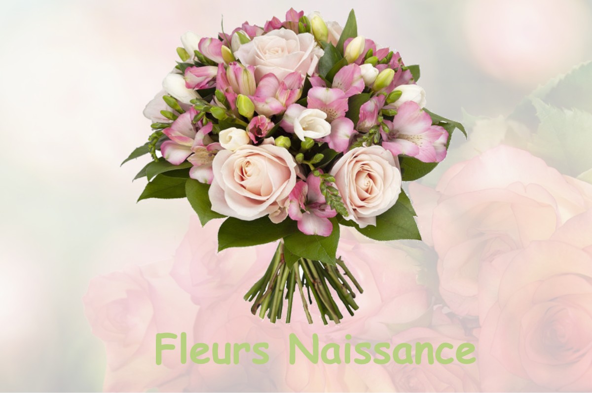 fleurs naissance COLOMBE