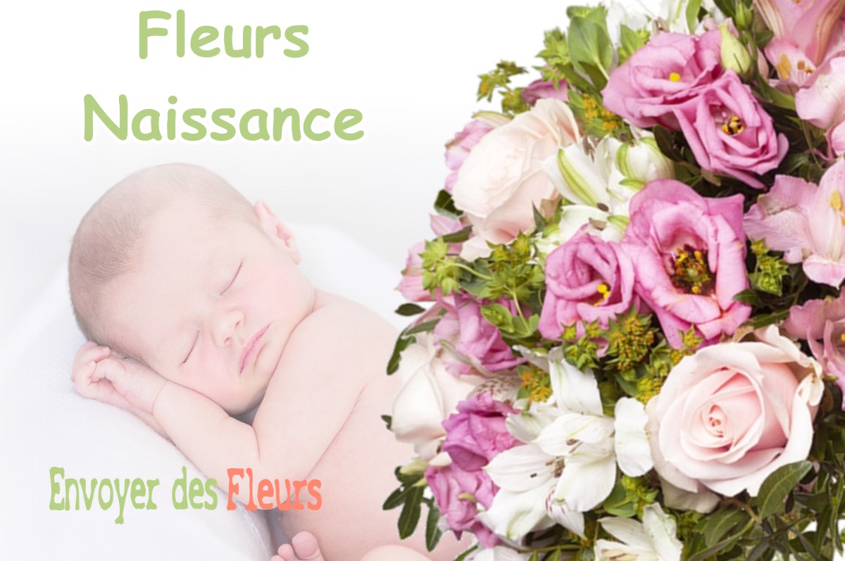 lIVRAISON FLEURS NAISSANCE à COLOMBE